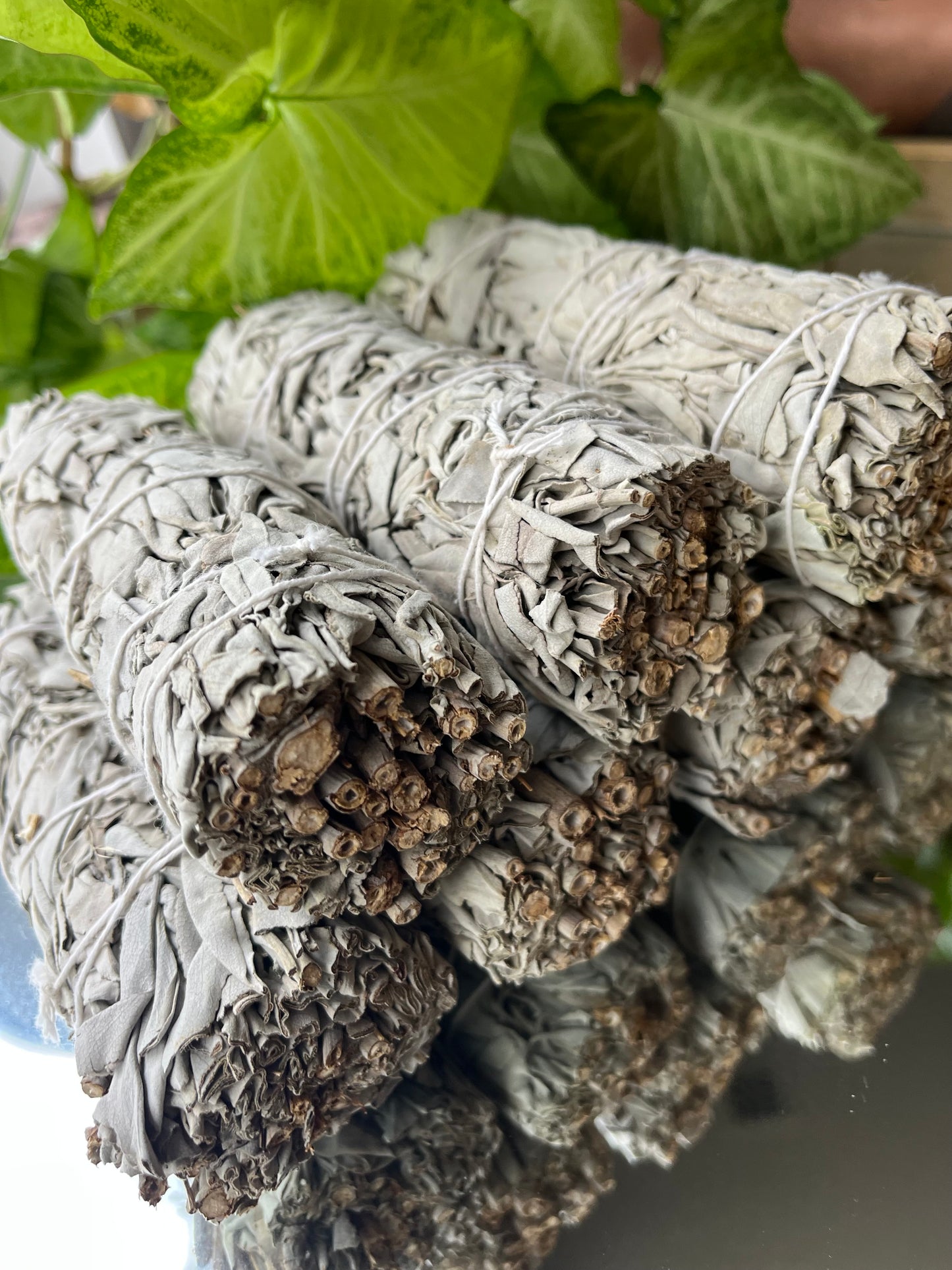 White Sage 6 inch Smudge Stick