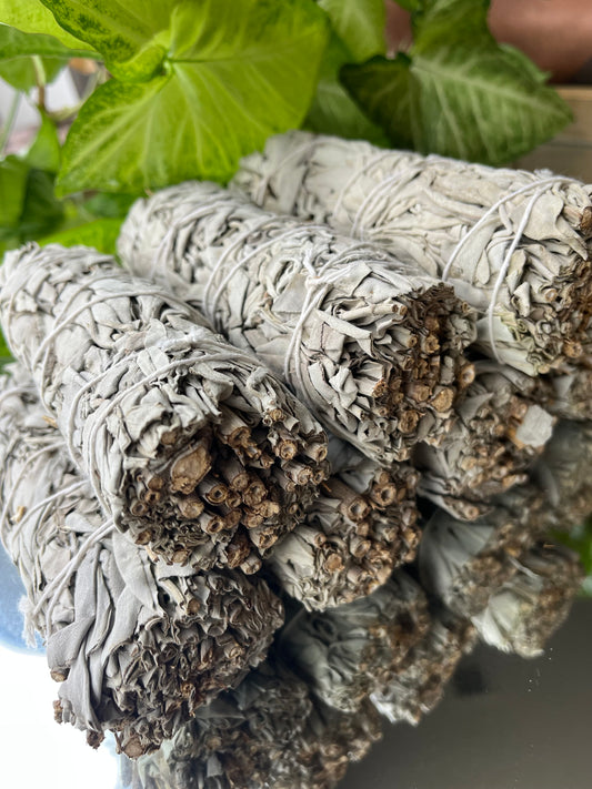 White Sage 6 inch Smudge Stick